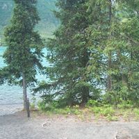 Laura Adelman Photo 7