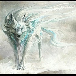 Michael Connell Photo 14