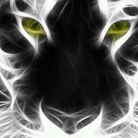 Cindy Hatfield Photo 27