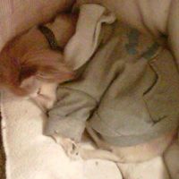 Nicole Ewing Photo 46