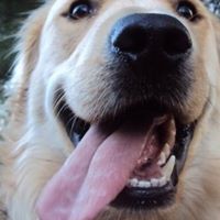 Rudy Jenkins Photo 25