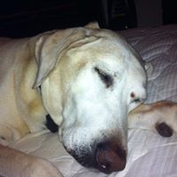 Ann Ebert Photo 12