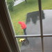 Amy Rains Photo 35