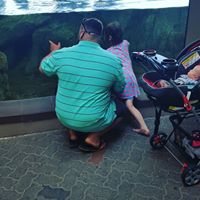 Darren Mcgill Photo 13