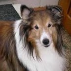 Debra Davidson Photo 29