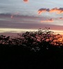 Lori Kelly Photo 11