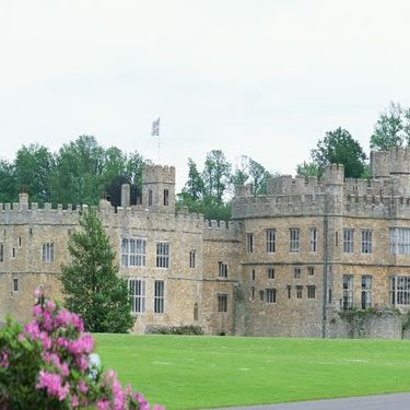 Austin Robinson Photo 38