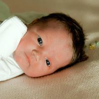 Susan Stack Photo 21