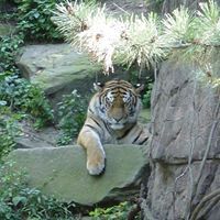 Victoria Bennett Photo 25