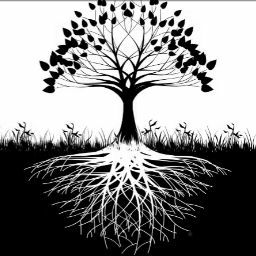 David Stuart Photo 23 David Stuart Photo 23