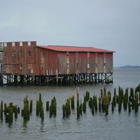 Sue Andersen Photo 30