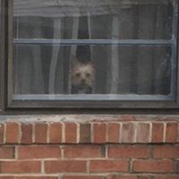 Kathleen Perdue Photo 19