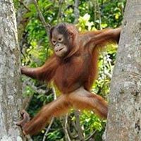 Charles Mathieu Photo 18