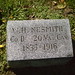 William Nesmith Photo 19