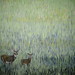 Wendy Woods Photo 26