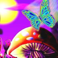 Helen Phillips Photo 39