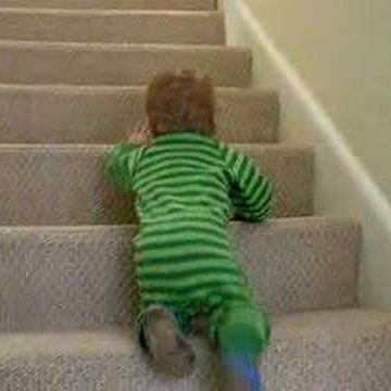 Stephanie Tipton Photo 24