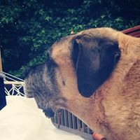 Angel Carver Photo 3