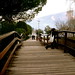 Maria Silvia Photo 5