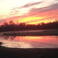 Janice Gibbons Photo 14