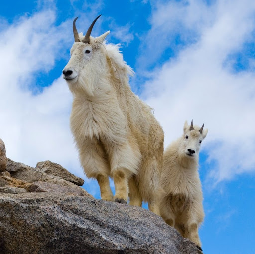 James Dietrich Photo 21