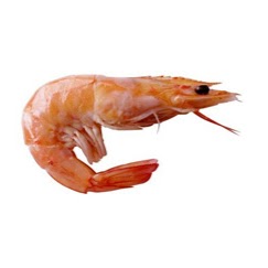 Eddie Duran Photo 46