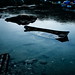 Kevin Cheung Photo 32