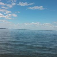 Rose Russell Photo 36