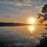 Steve Hamman Photo 10