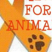 Anne Roberts Photo 24