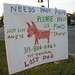 Don Irwin Photo 7