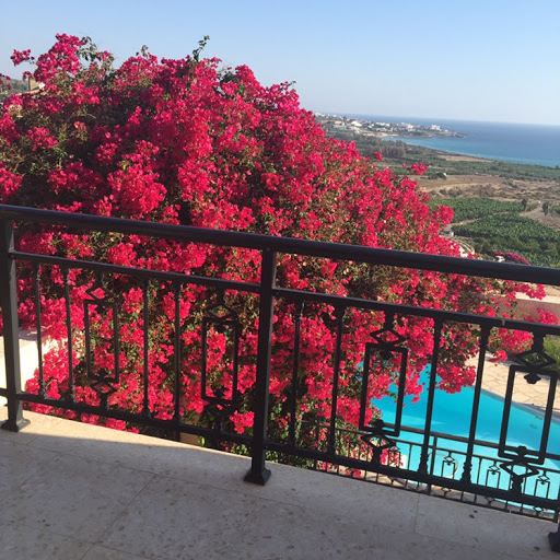 Julie Pearce Photo 8