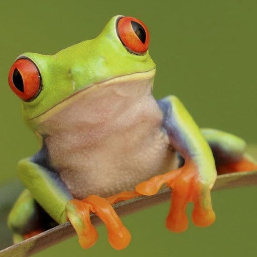 Phyllis Barnes Photo 18