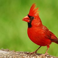 Jill Phillips Photo 13 Jill Phillips Photo 13