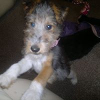 Julia Pollard Photo 18