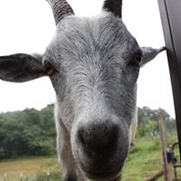 Claudia Bowen Photo 9