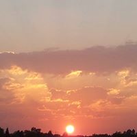 Lynn Howard Photo 4 Lynn Howard Photo 4