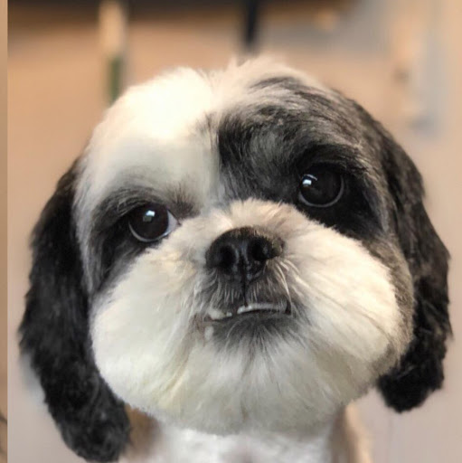 Samantha Ryan Photo 17