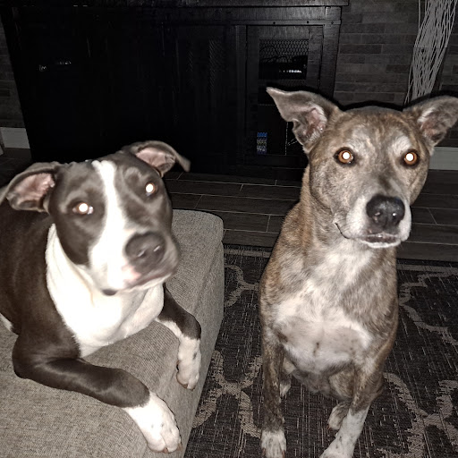 David Brake Photo 27