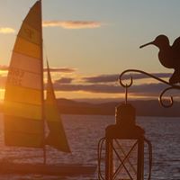 Cynthia Douglass Photo 8