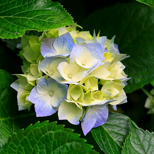 Sara Duncan Photo 11 Sara Duncan Photo 11