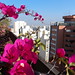 Patricia Maria Photo 19