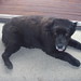 Cindy Borders Photo 27