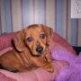 Carol Groves Photo 38