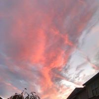 Susan Harding Photo 37