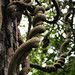 Elizabeth Smothers Photo 23