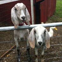 Kelly Hudson Photo 17