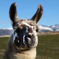 Tracy Hinton Photo 10