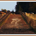 Jerry Lane Photo 16