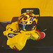 Steve Johnson Photo 4